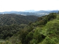 maleisie_gunungbrinchang