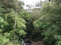 Sarapiqui, Costa Rica