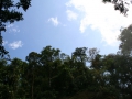 Sarapiqui, Costa Rica