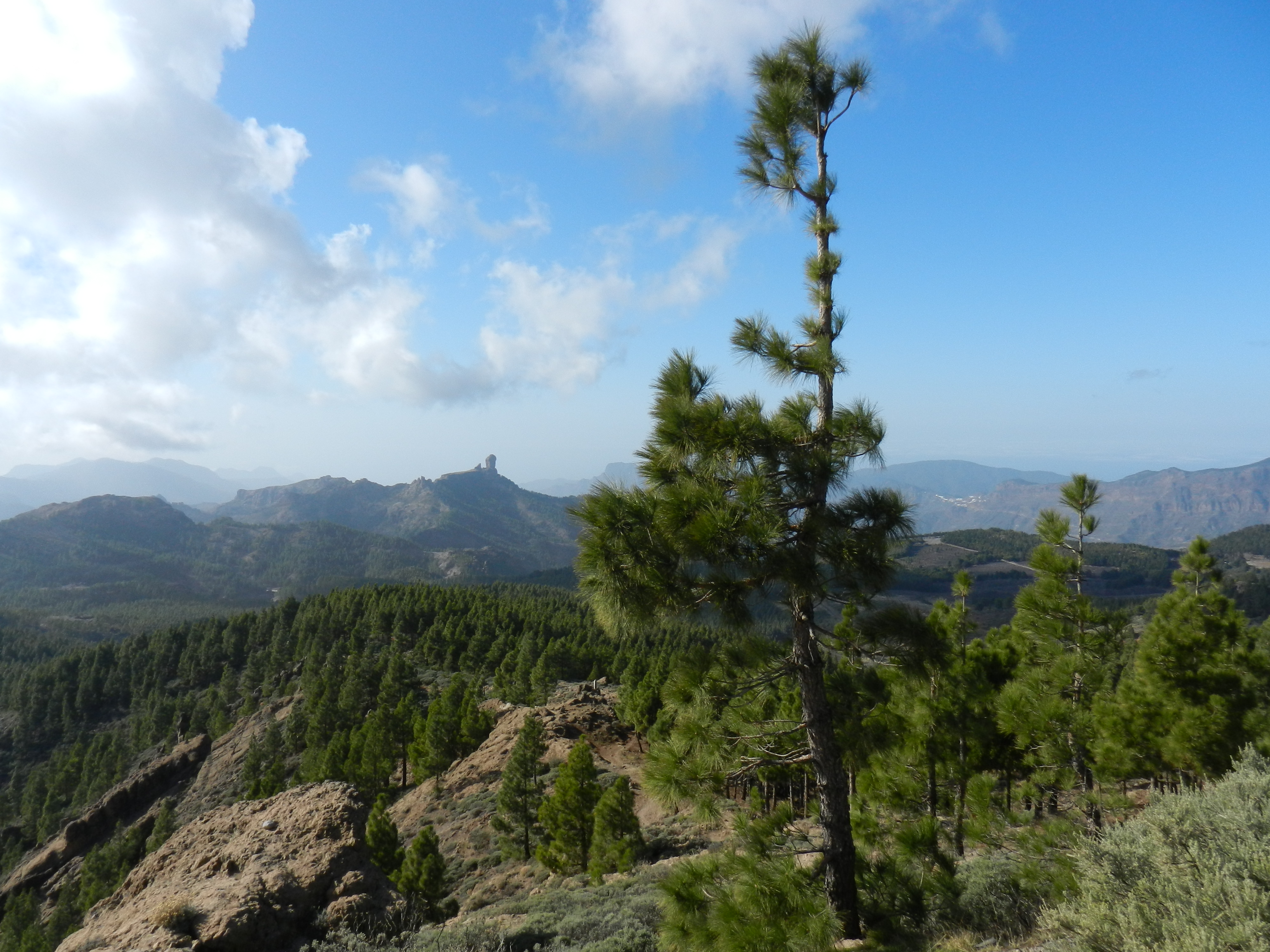 Vakantietrends van 2014