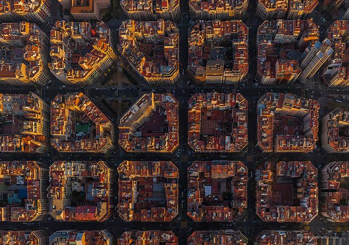 De wereld van boven – hoe vogels de wereld zien