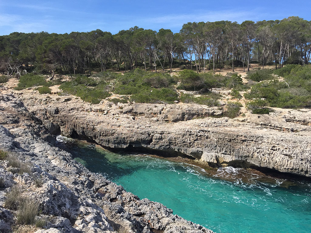 Wat te doen op Mallorca: Mondragó Mallorca, Spanje